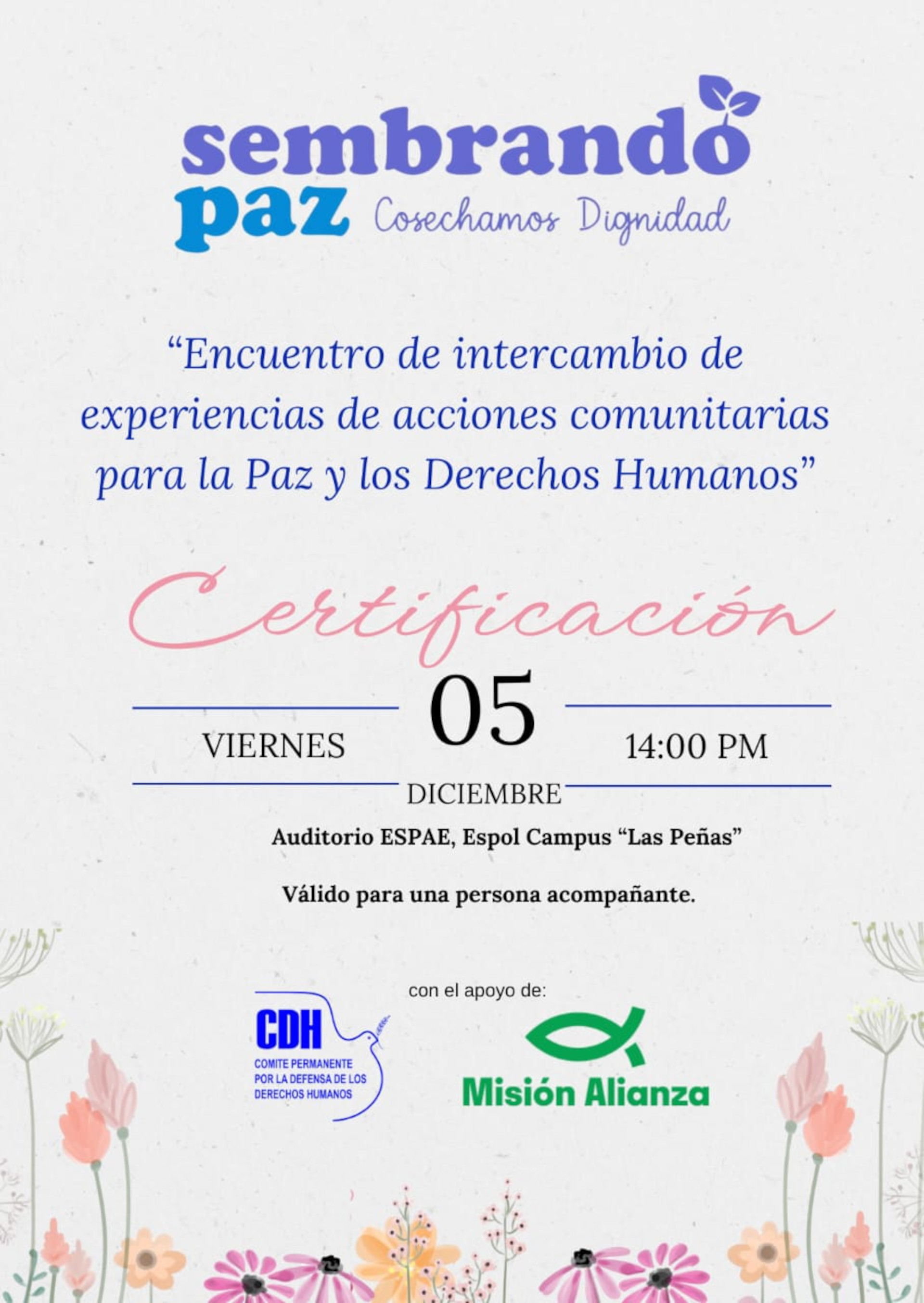 16DiasDeActivismo2025.11