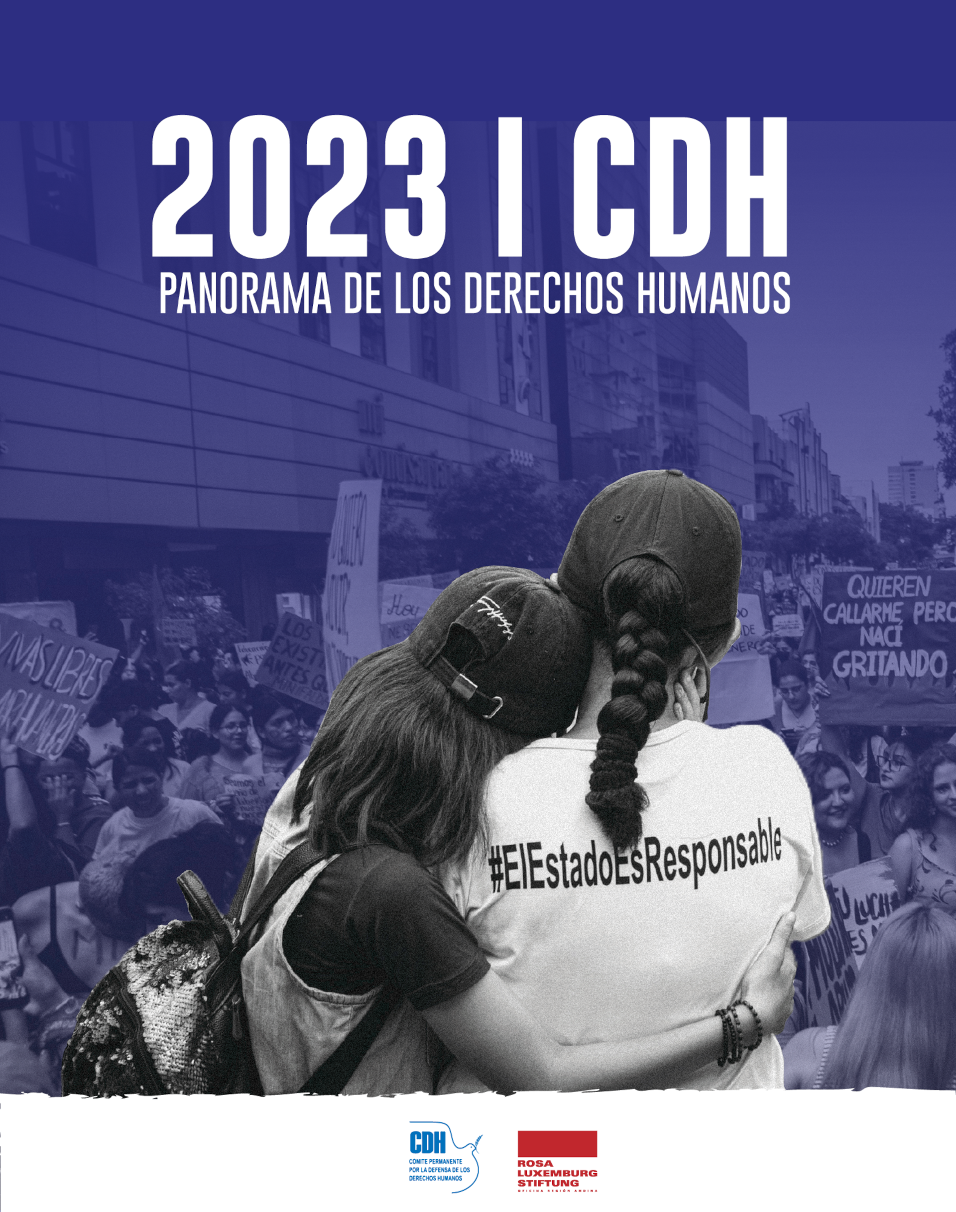 InformeAnualCDH2023